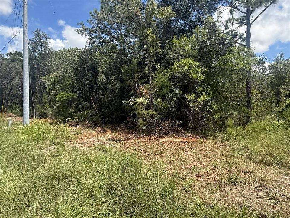 待售: $124,990 (1.34 acres)