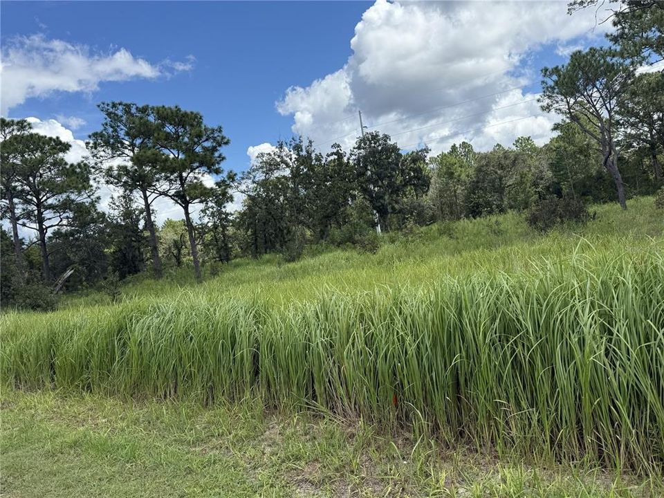 待售: $124,990 (1.34 acres)