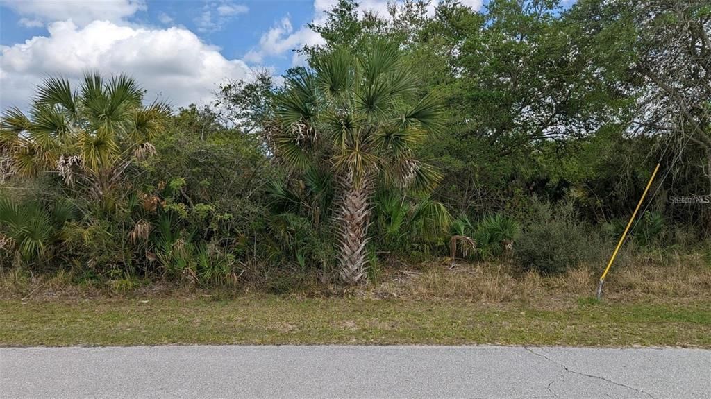 For Sale: $17,000 (0.23 acres)