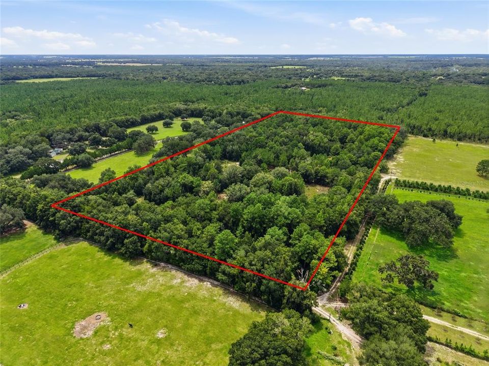 For Sale: $525,000 (20.00 acres)
