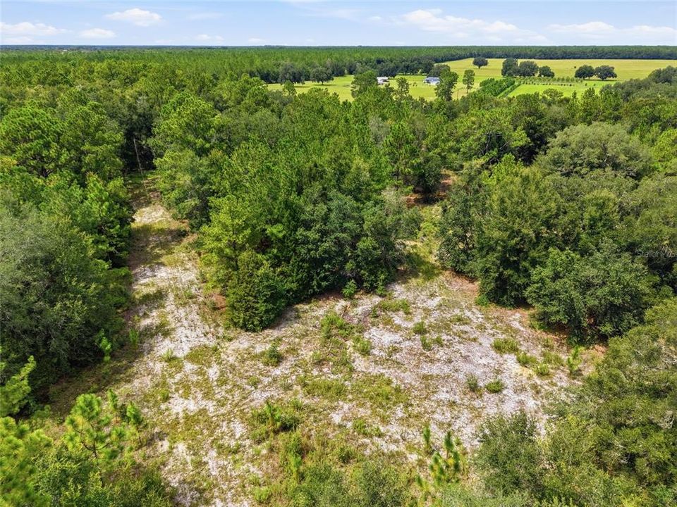 For Sale: $525,000 (20.00 acres)