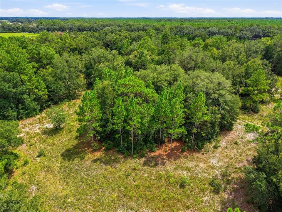 For Sale: $525,000 (20.00 acres)
