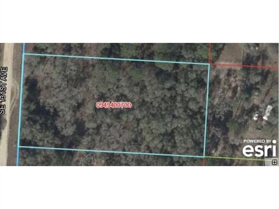 For Sale: $29,000 (1.25 acres)