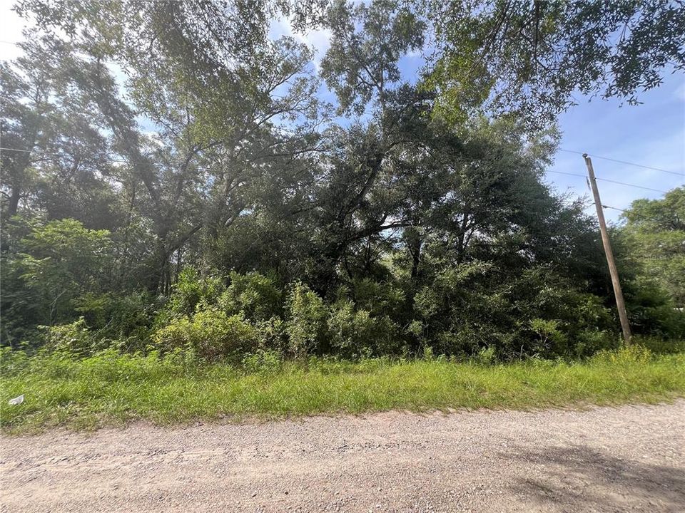 待售: $18,000 (0.22 acres)