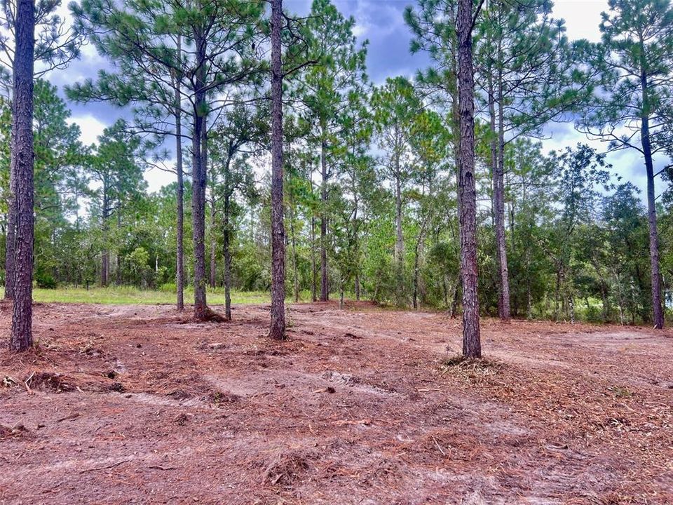 На продажу: $36,000 (0.99 acres)