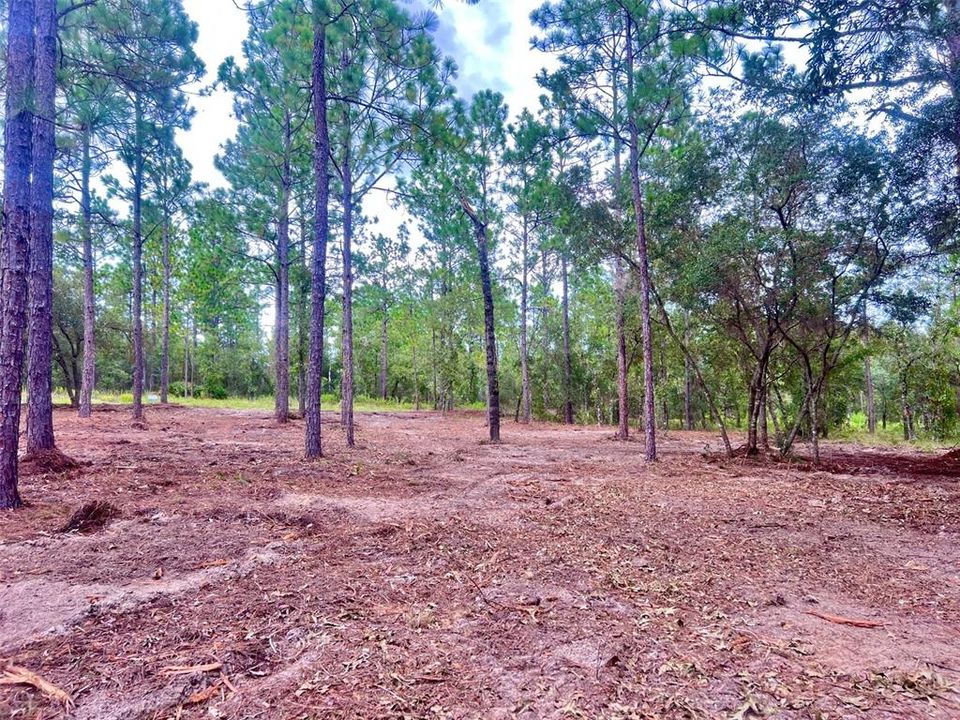 На продажу: $36,000 (0.99 acres)