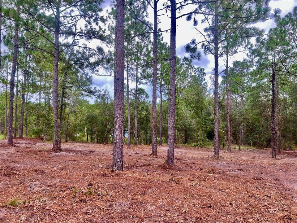 На продажу: $36,000 (0.99 acres)