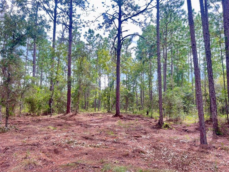 На продажу: $36,000 (0.99 acres)