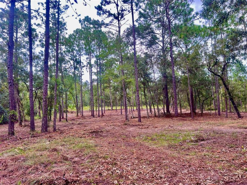 На продажу: $36,000 (0.99 acres)