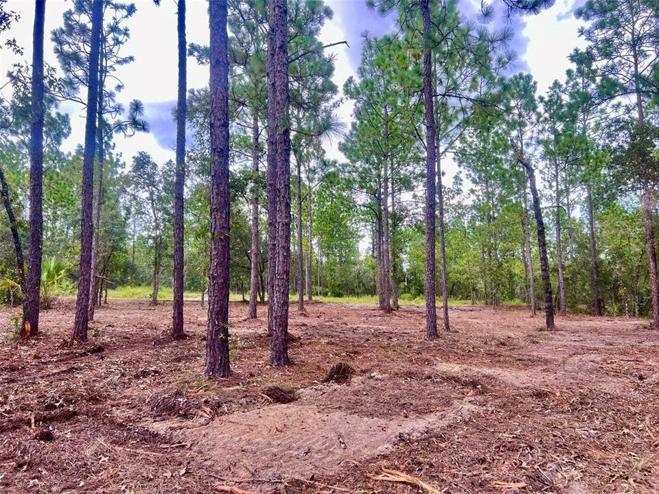 На продажу: $36,000 (0.99 acres)