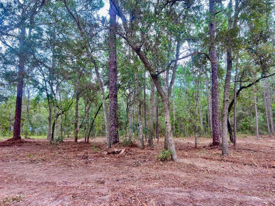 На продажу: $36,000 (0.99 acres)