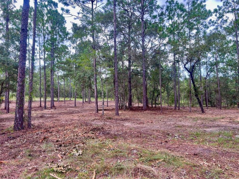 На продажу: $36,000 (0.99 acres)