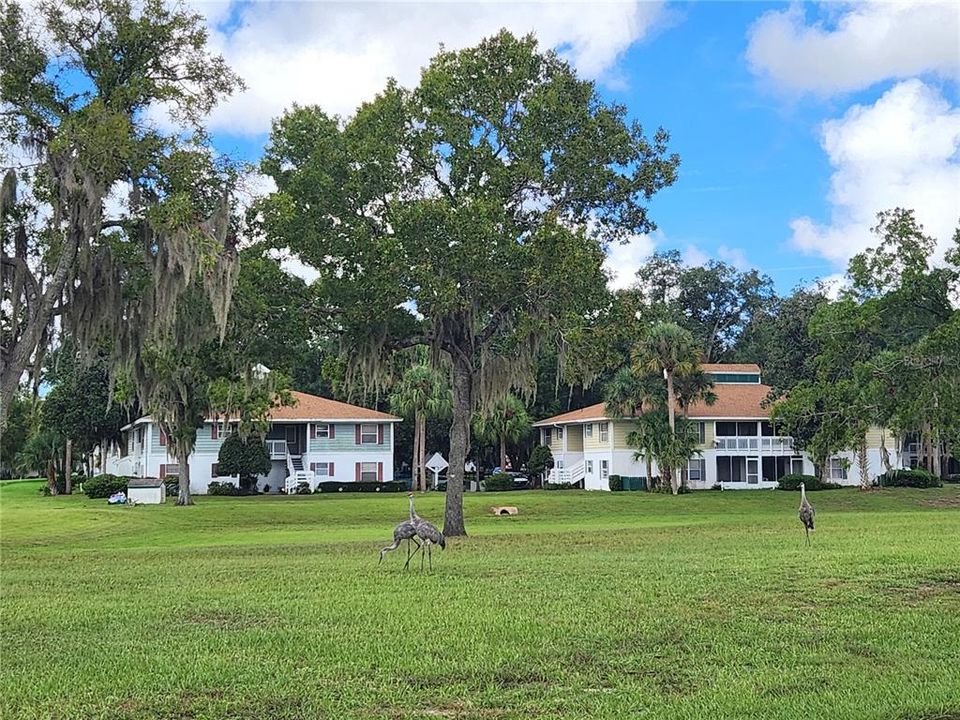 For Sale: $95,000 (2 beds, 2 baths, 885 Square Feet)