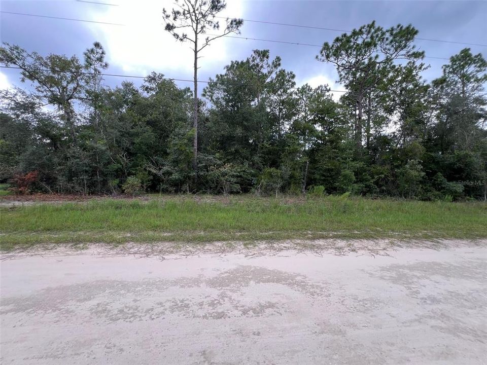 For Sale: $39,900 (1.14 acres)
