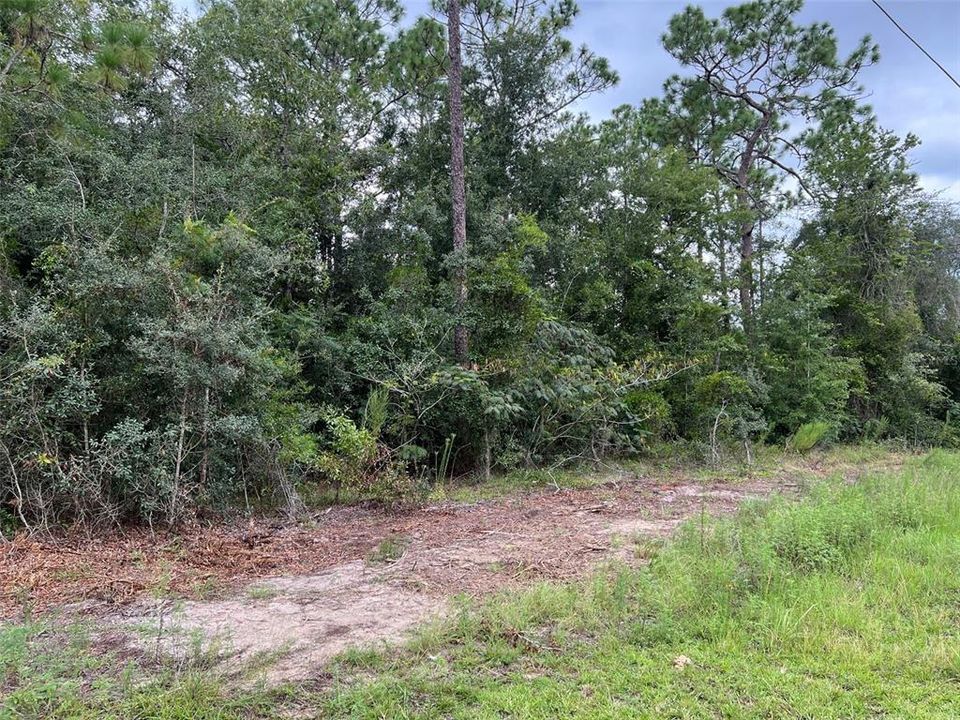 For Sale: $39,900 (1.14 acres)