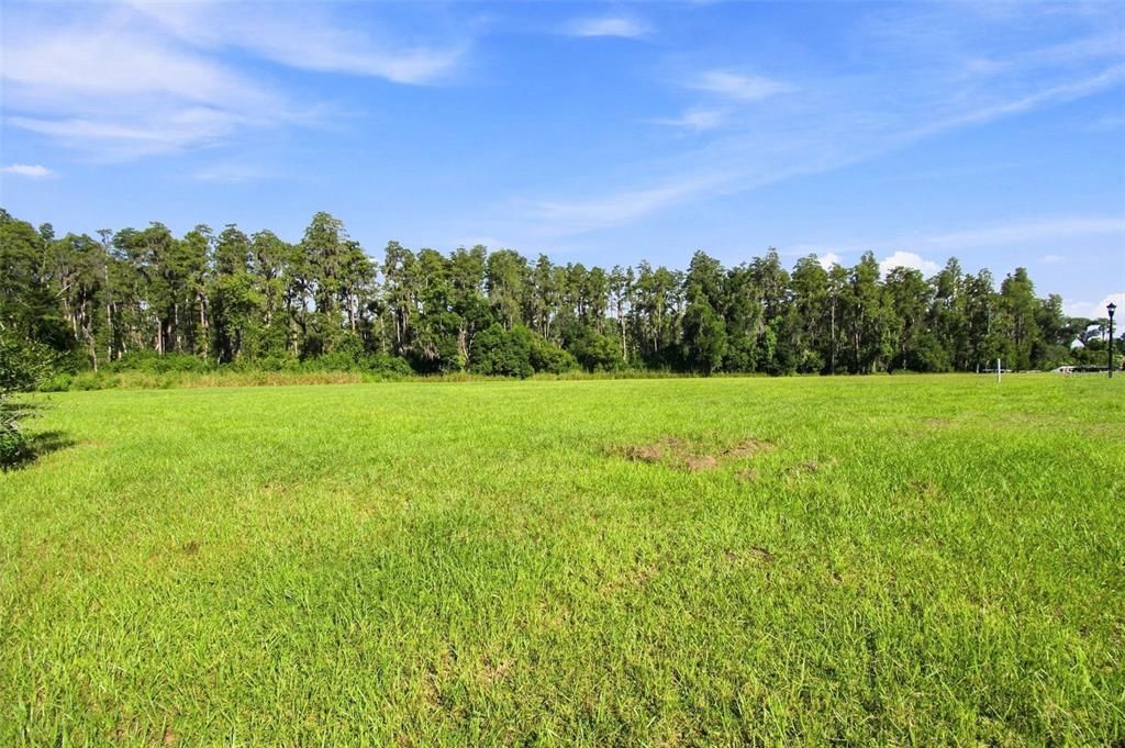 En Venta: $399,999 (1.59 acres)