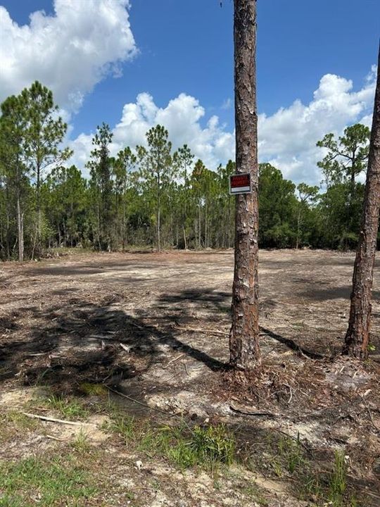 For Sale: $35,000 (0.21 acres)
