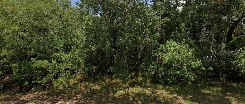 待售: $90,000 (0.39 acres)