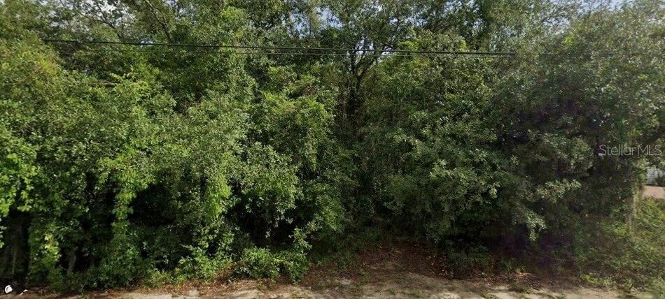待售: $90,000 (0.34 acres)