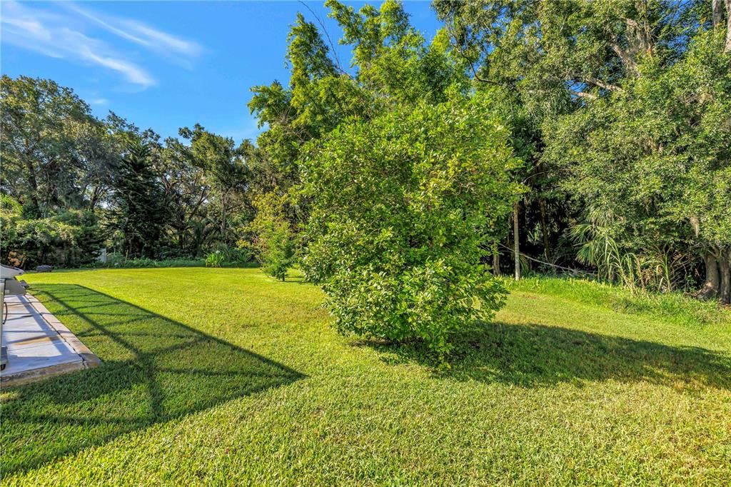 For Sale: $750,000 (5 beds, 4 baths, 3616 Square Feet)