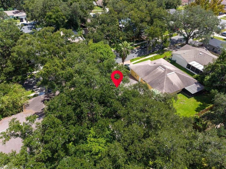 En Venta: $525,000 (3 camas, 2 baños, 1781 Pies cuadrados)