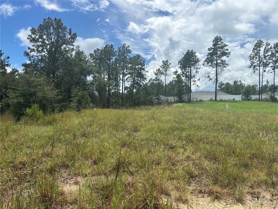For Sale: $50,000 (0.32 acres)