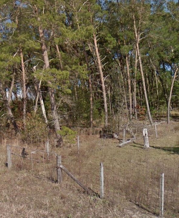 For Sale: $30,000 (1.25 acres)