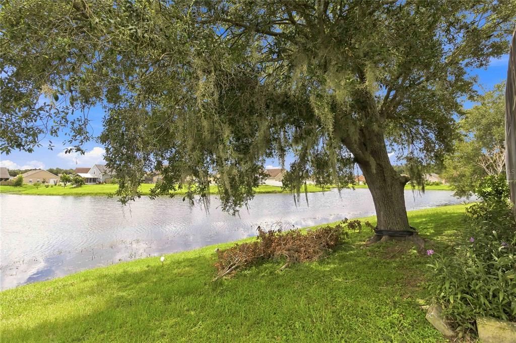 For Sale: $349,900 (4 beds, 2 baths, 1842 Square Feet)