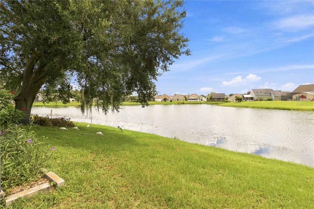 For Sale: $349,900 (4 beds, 2 baths, 1842 Square Feet)