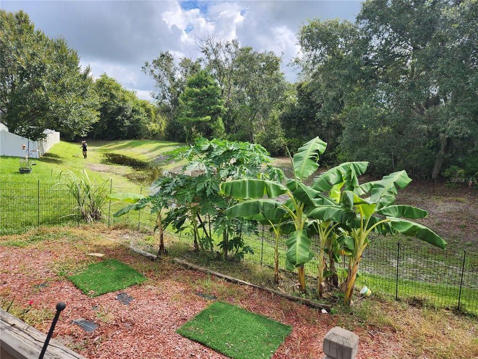 For Sale: $389,900 (4 beds, 3 baths, 2293 Square Feet)
