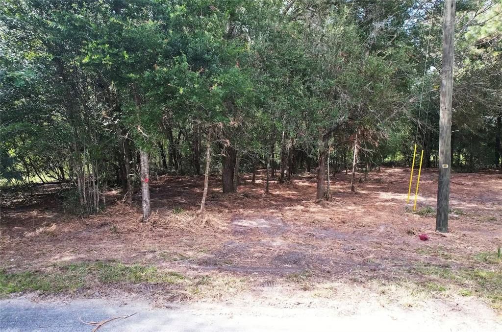 En Venta: $15,995 (0.42 acres)
