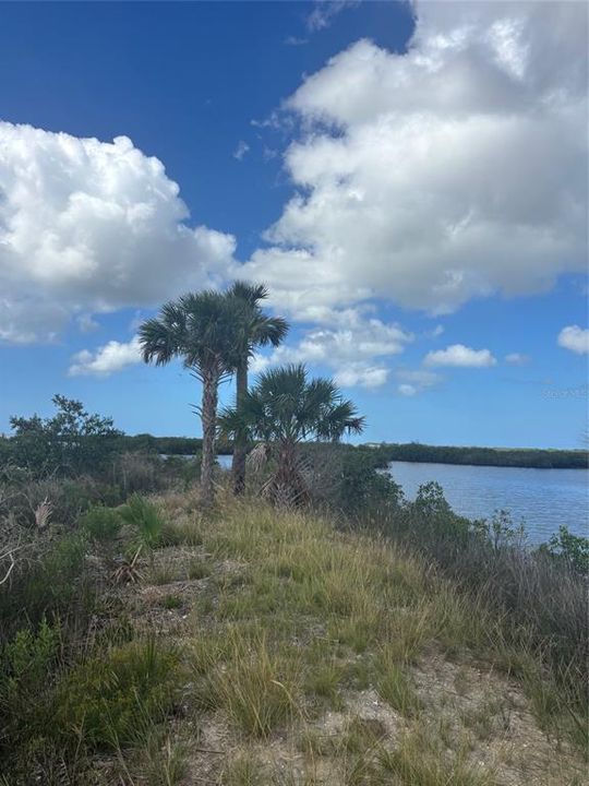 En Venta: $3,995,000 (45.70 acres)