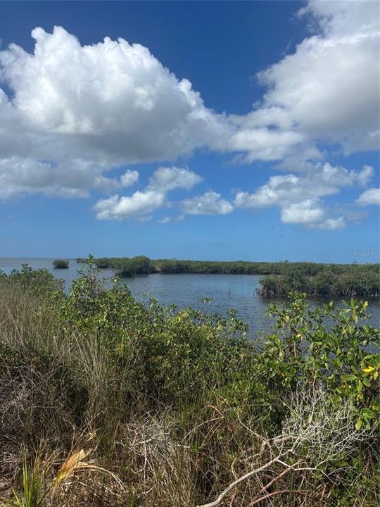 En Venta: $3,995,000 (45.70 acres)