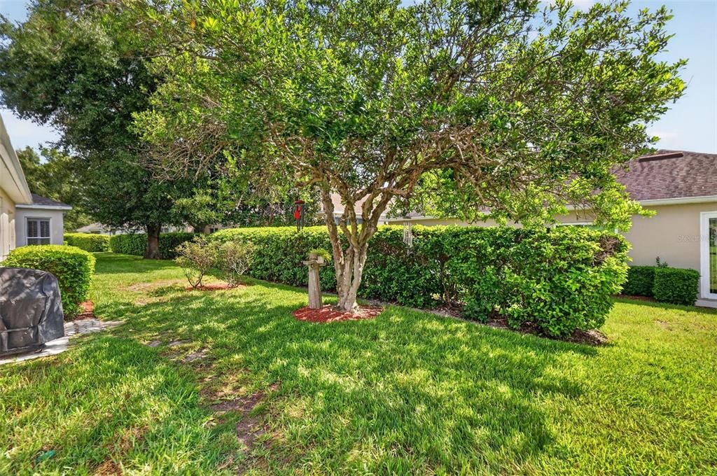 En Venta: $395,000 (3 camas, 2 baños, 2031 Pies cuadrados)