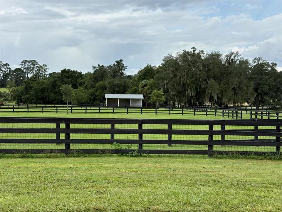 For Sale: $625,000 (5.00 acres)
