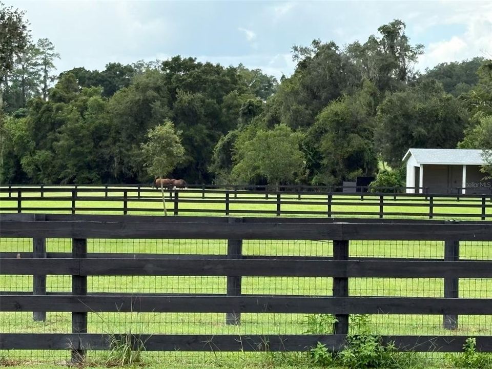 For Sale: $625,000 (5.00 acres)