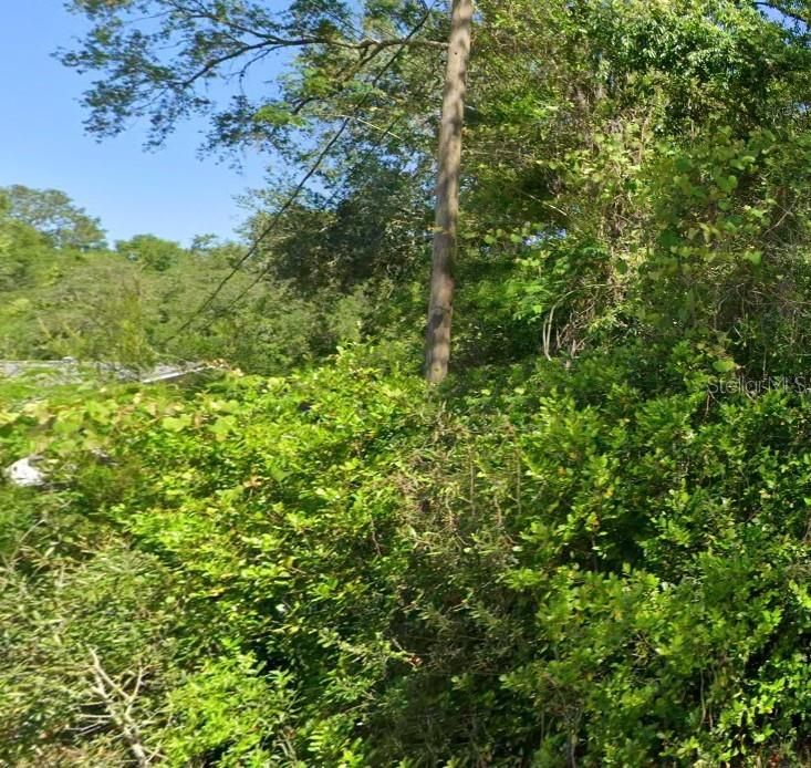 Active With Contract: $10,000 (0.24 acres)