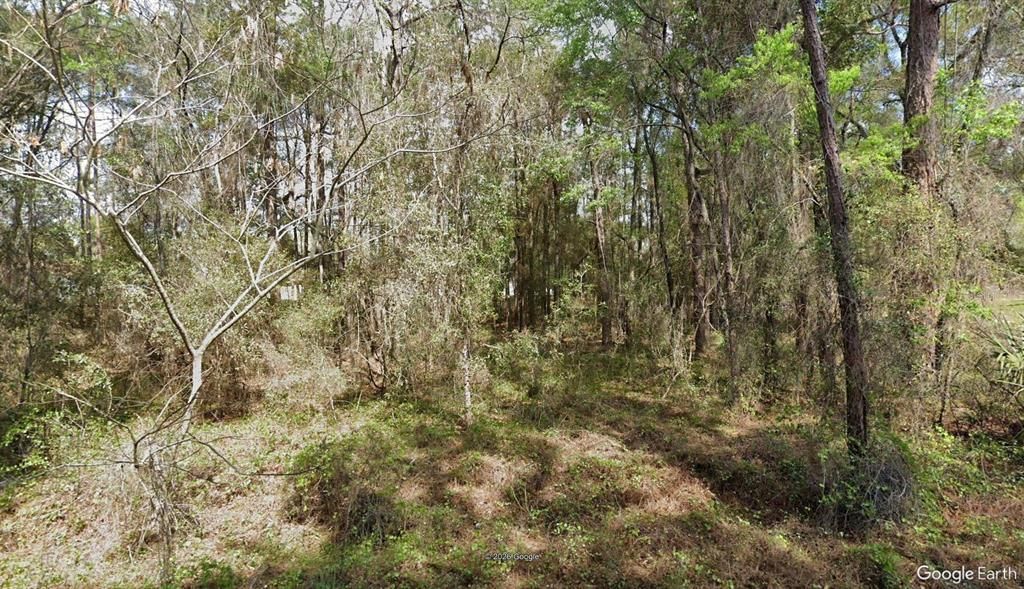For Sale: $19,000 (0.24 acres)