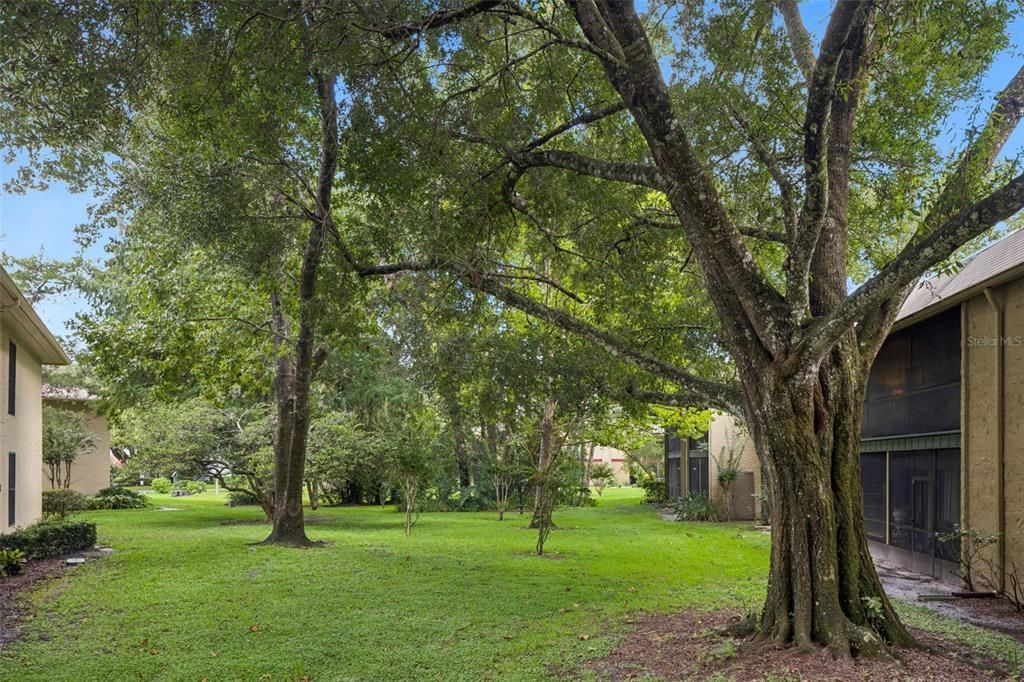 For Sale: $130,000 (1 beds, 1 baths, 710 Square Feet)