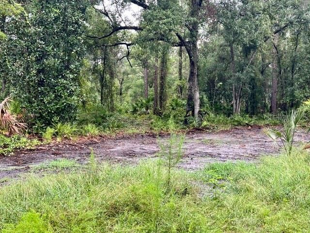 待售: $140,000 (5.01 acres)