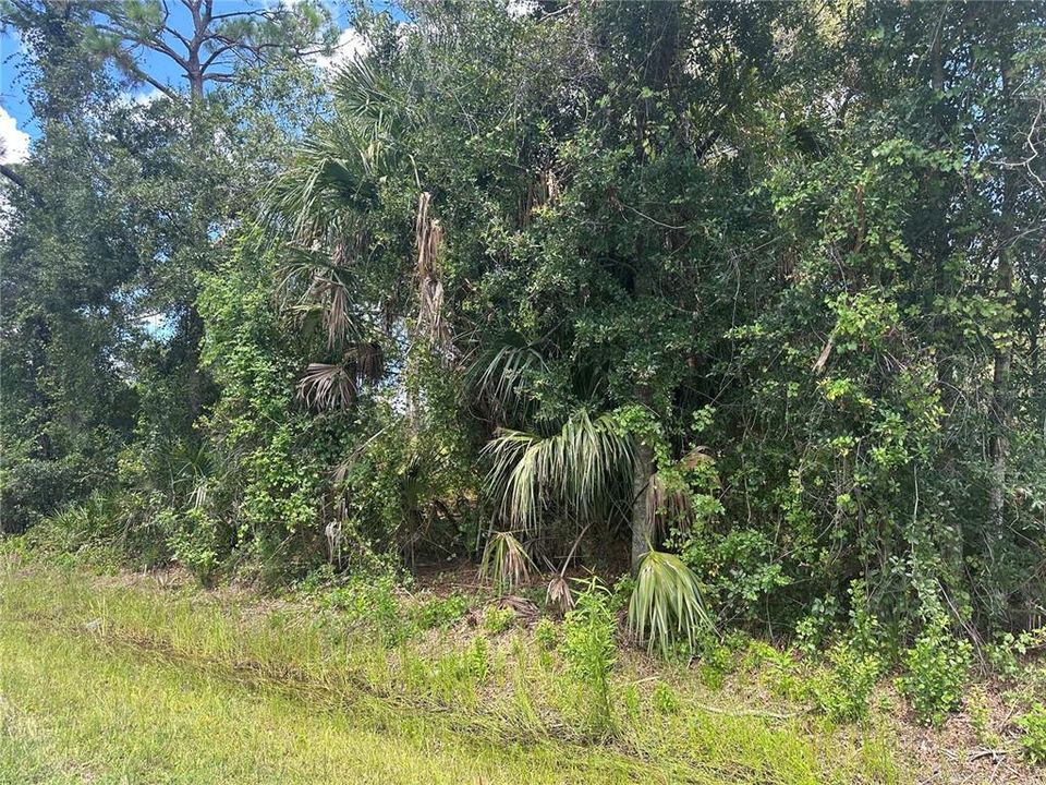 For Sale: $15,500 (0.23 acres)
