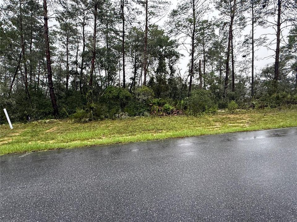 For Sale: $55,000 (0.51 acres)