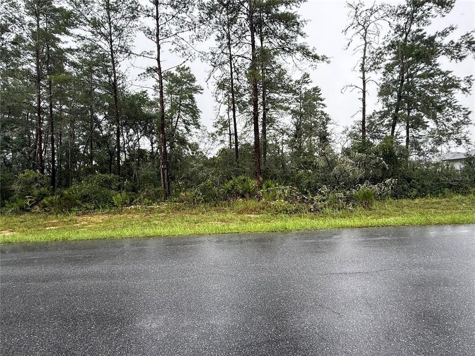 For Sale: $55,000 (0.51 acres)