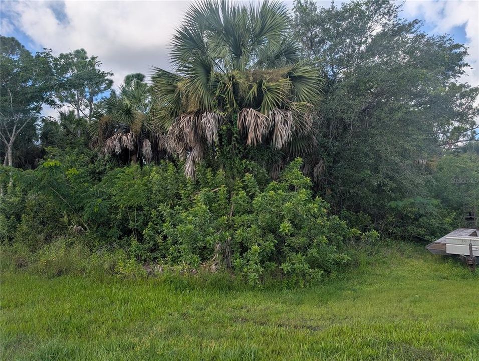 En Venta: $24,900 (0.30 acres)