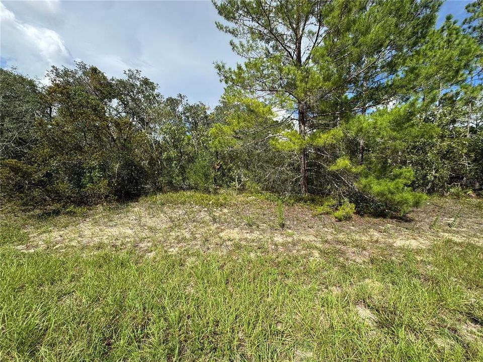 待售: $48,848 (1.12 acres)