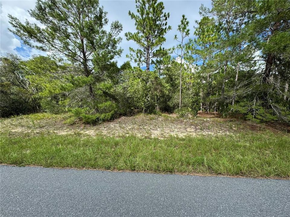 待售: $48,848 (1.12 acres)