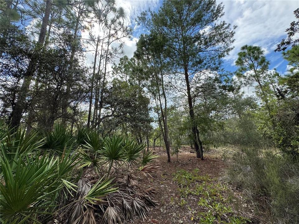 待售: $48,848 (1.12 acres)