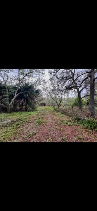 For Sale: $899,999 (21.50 acres)