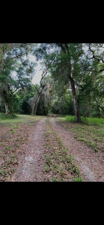 For Sale: $899,999 (21.50 acres)