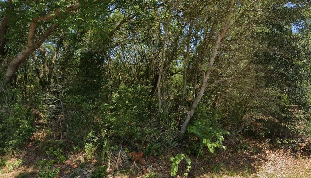 Под контрактом: $10,000 (0.24 acres)